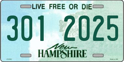 NH license plate 3012025