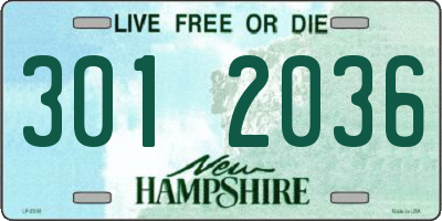 NH license plate 3012036