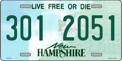 NH license plate 3012051