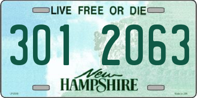 NH license plate 3012063
