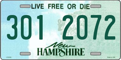 NH license plate 3012072
