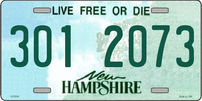 NH license plate 3012073
