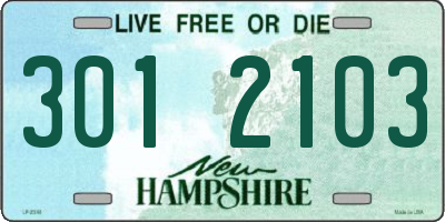 NH license plate 3012103