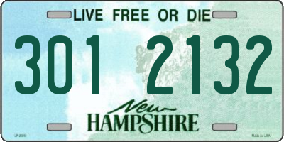 NH license plate 3012132