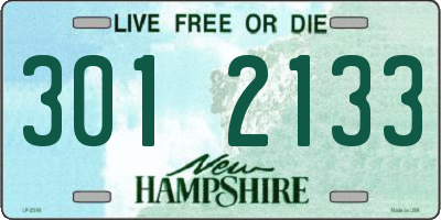 NH license plate 3012133