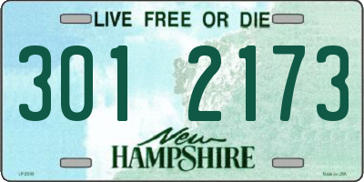 NH license plate 3012173