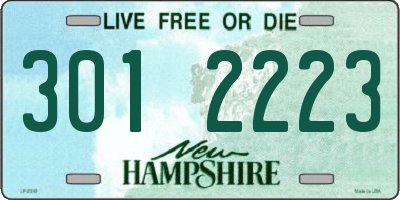 NH license plate 3012223