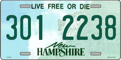 NH license plate 3012238