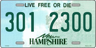 NH license plate 3012300