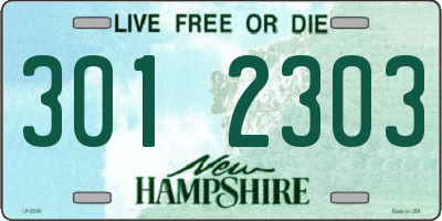 NH license plate 3012303