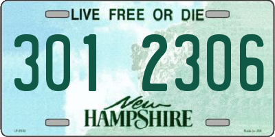 NH license plate 3012306