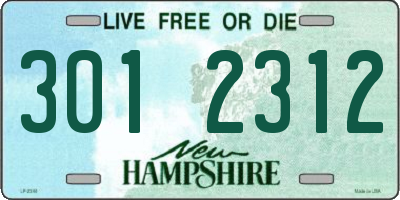 NH license plate 3012312