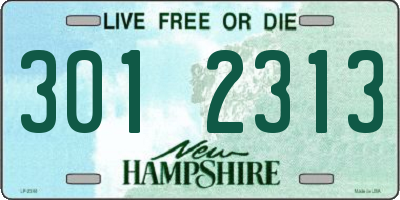 NH license plate 3012313