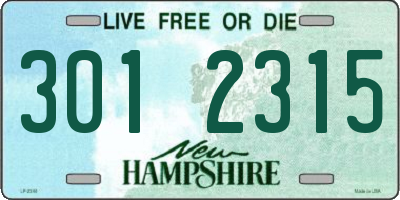 NH license plate 3012315