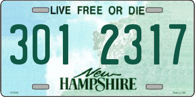 NH license plate 3012317