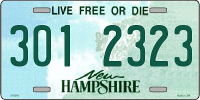 NH license plate 3012323