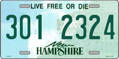 NH license plate 3012324