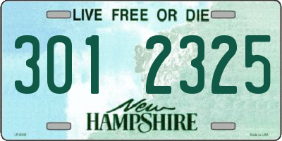 NH license plate 3012325
