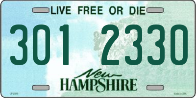 NH license plate 3012330
