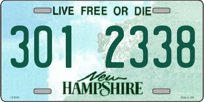 NH license plate 3012338