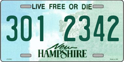 NH license plate 3012342