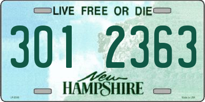 NH license plate 3012363