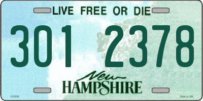 NH license plate 3012378