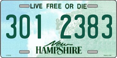 NH license plate 3012383