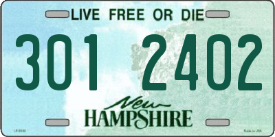 NH license plate 3012402