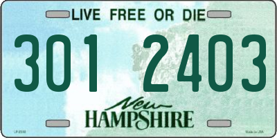 NH license plate 3012403