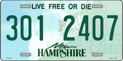 NH license plate 3012407