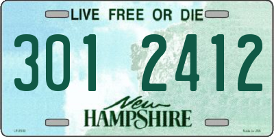 NH license plate 3012412