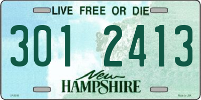 NH license plate 3012413