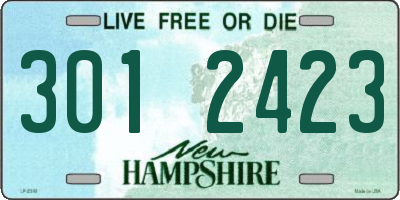 NH license plate 3012423