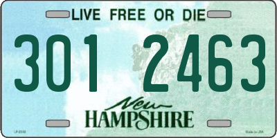NH license plate 3012463