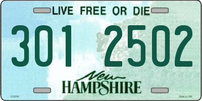 NH license plate 3012502