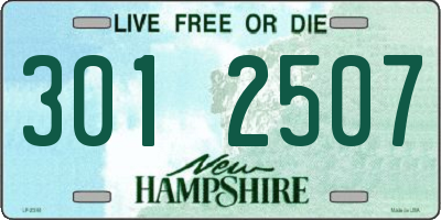 NH license plate 3012507