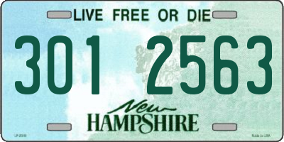 NH license plate 3012563