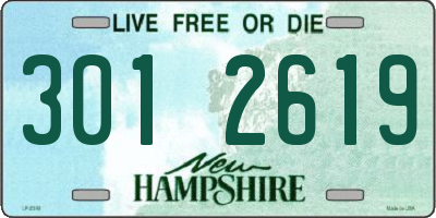 NH license plate 3012619