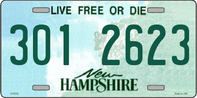 NH license plate 3012623