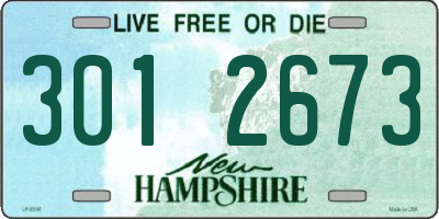 NH license plate 3012673