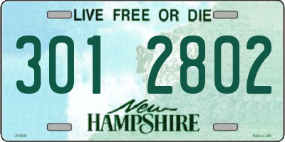 NH license plate 3012802