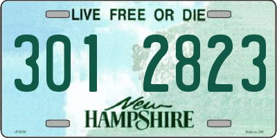 NH license plate 3012823