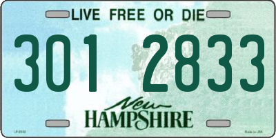 NH license plate 3012833