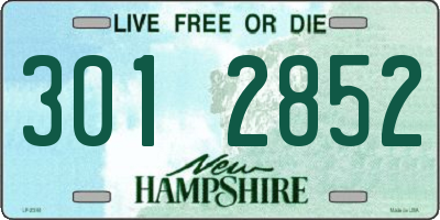 NH license plate 3012852