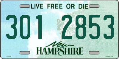 NH license plate 3012853