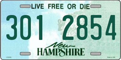 NH license plate 3012854