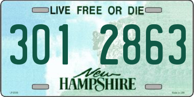 NH license plate 3012863