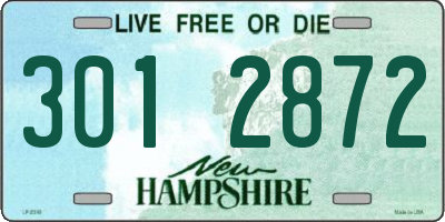 NH license plate 3012872