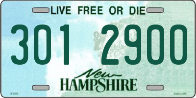 NH license plate 3012900